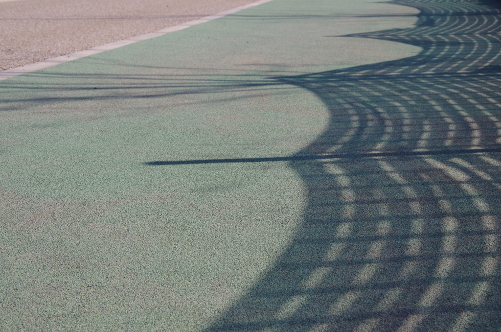 Light and shadow-75