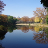 都会のオアシス-1