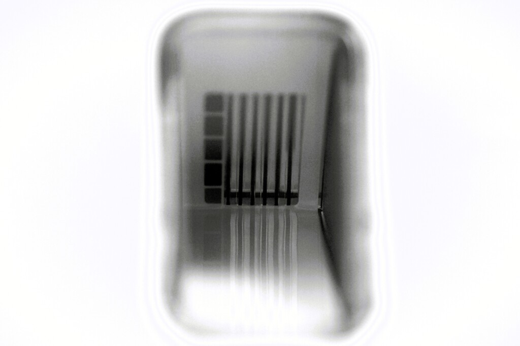 窓 monotone