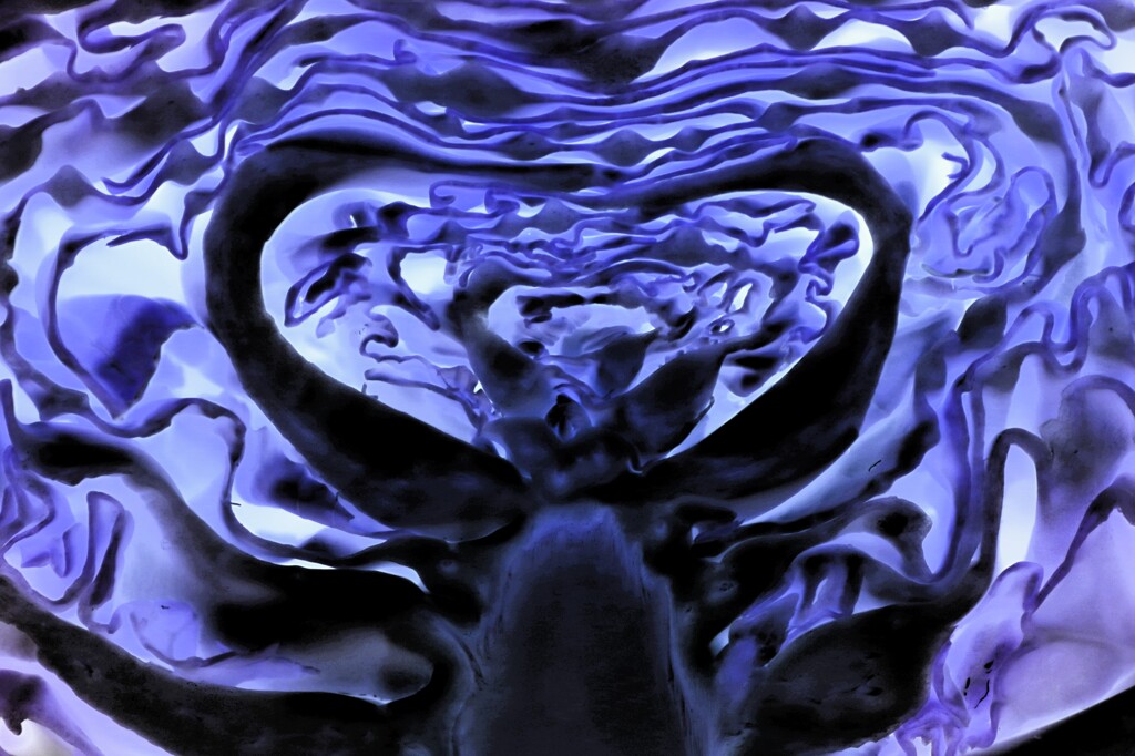 face-37 reverse