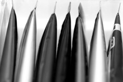 four colors monotone