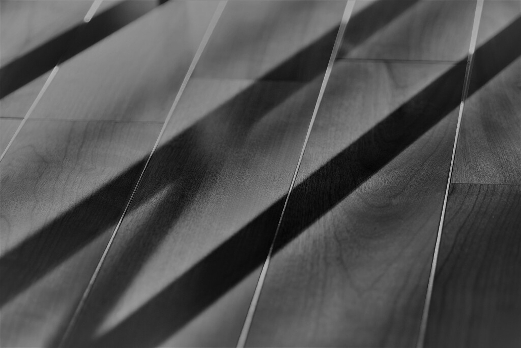 Light and shadow-593
