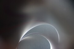 Light and shadow-895