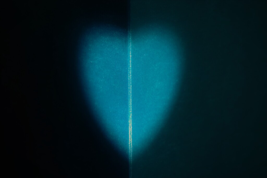 Light and shadow-516