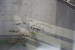 光と影の空間-6