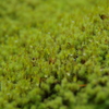 越後湯沢の秋-3