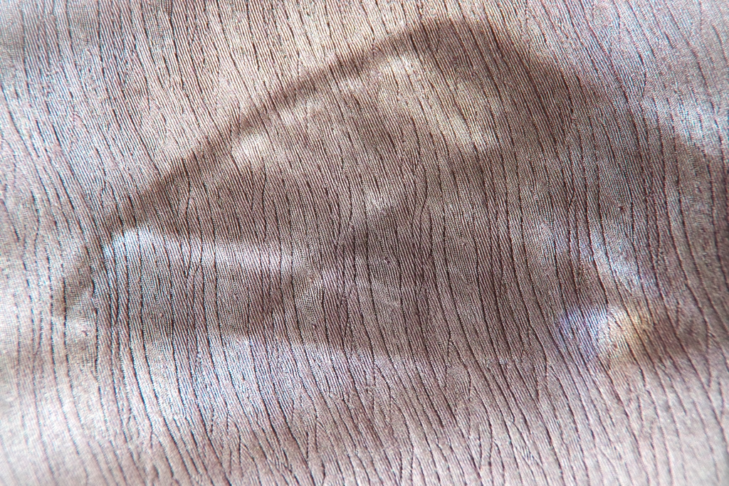 Light and shadow-601
