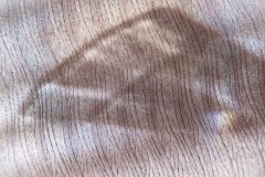 Light and shadow-601