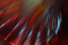 ガラス瓶のせかい-9