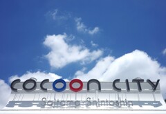 cocoon sky