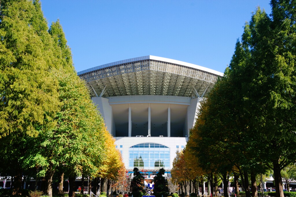 スタジアムの紅葉は．．．まだ