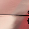 Light and shadow-888