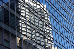 Reflection-501
