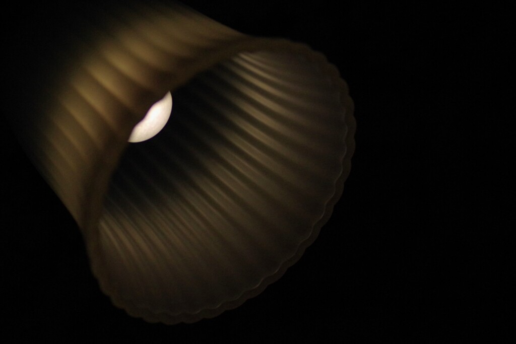 Light and shadow-652