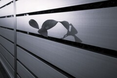 Light and shadow-901