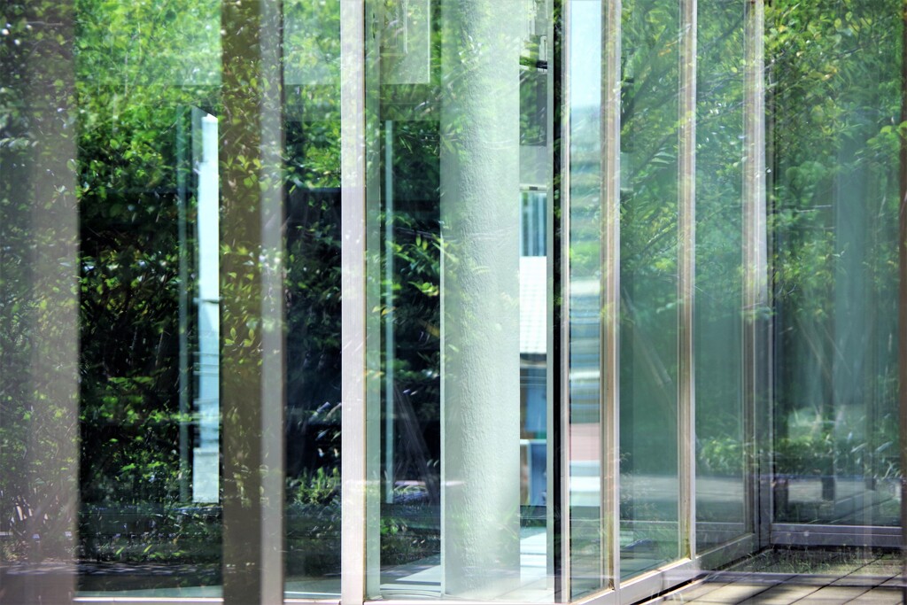 Reflection-200