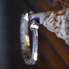 Light and shadow-315