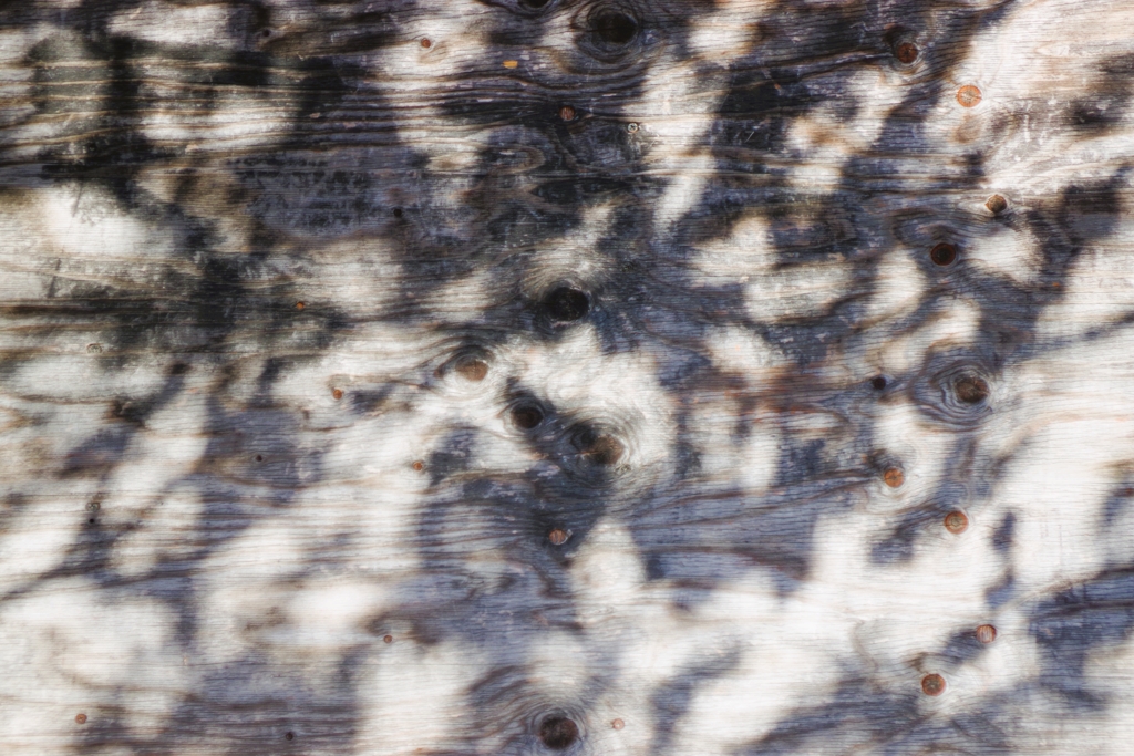 Light and shadow-623