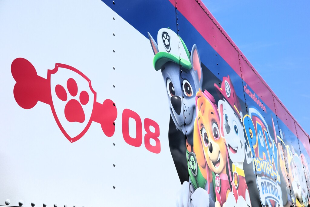 PAW PATROL-