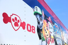 PAW PATROL- PAW PATROL-