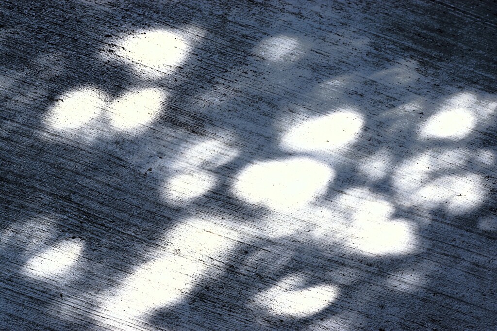 Light and shadow-772