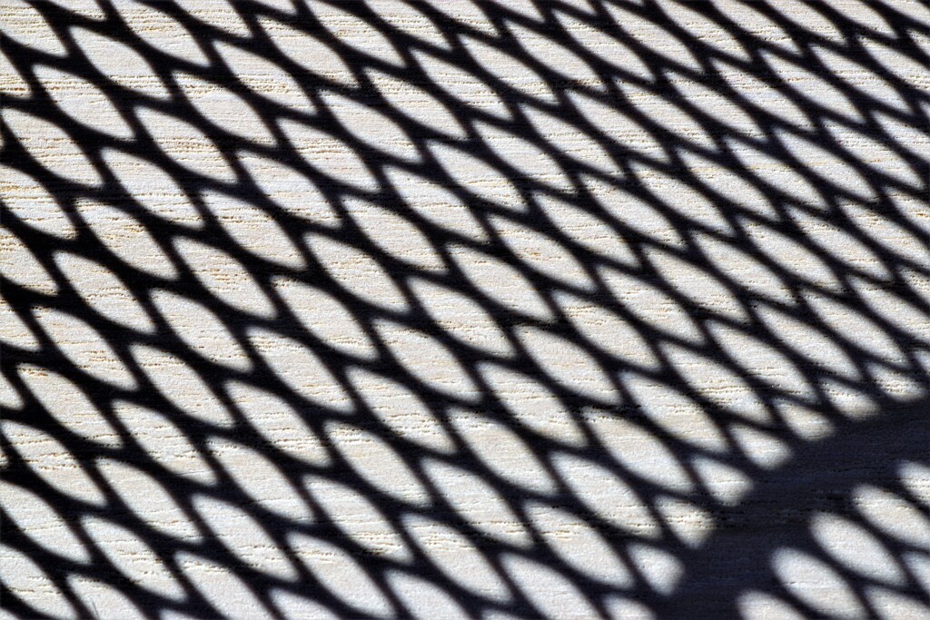 Light and shadow-477