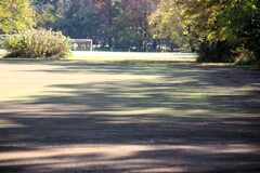 Light and shadow-923