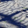 Light and shadow-189