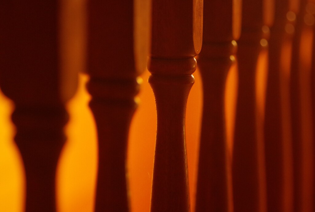 Light and shadow-364