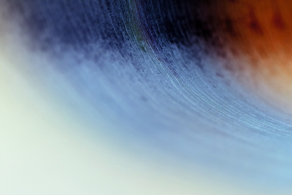 Light and shadow-692