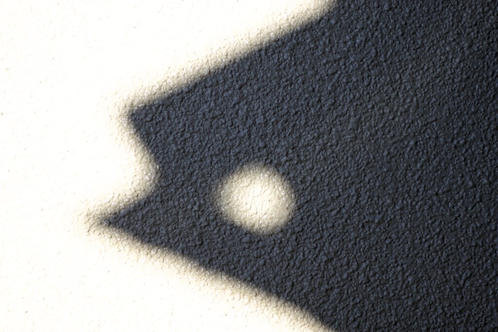 Light and shadow-858