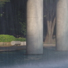 やすらぎのひと時