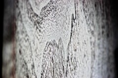 Light and shadow-464