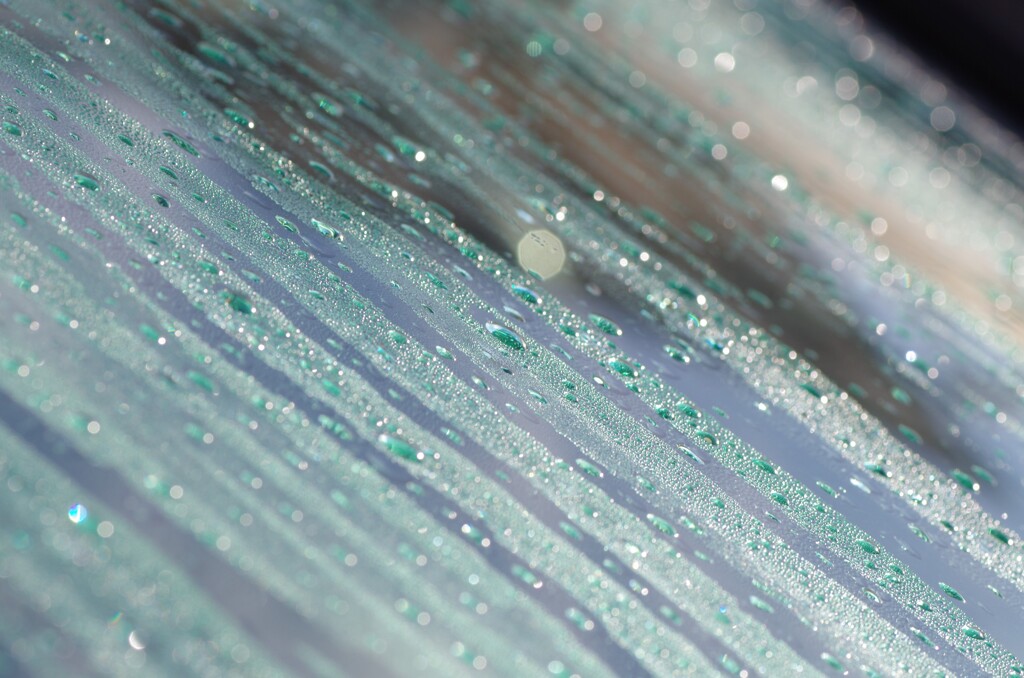 すいてきのせかい-51