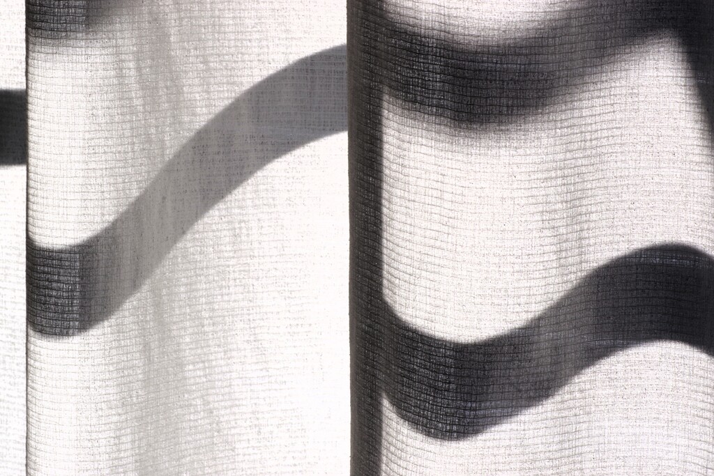 Light and shadow-844