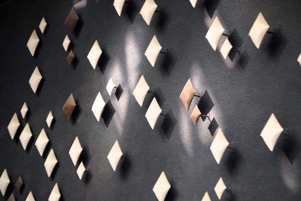 Light and shadow-921