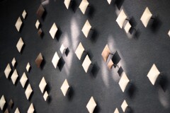 Light and shadow-921