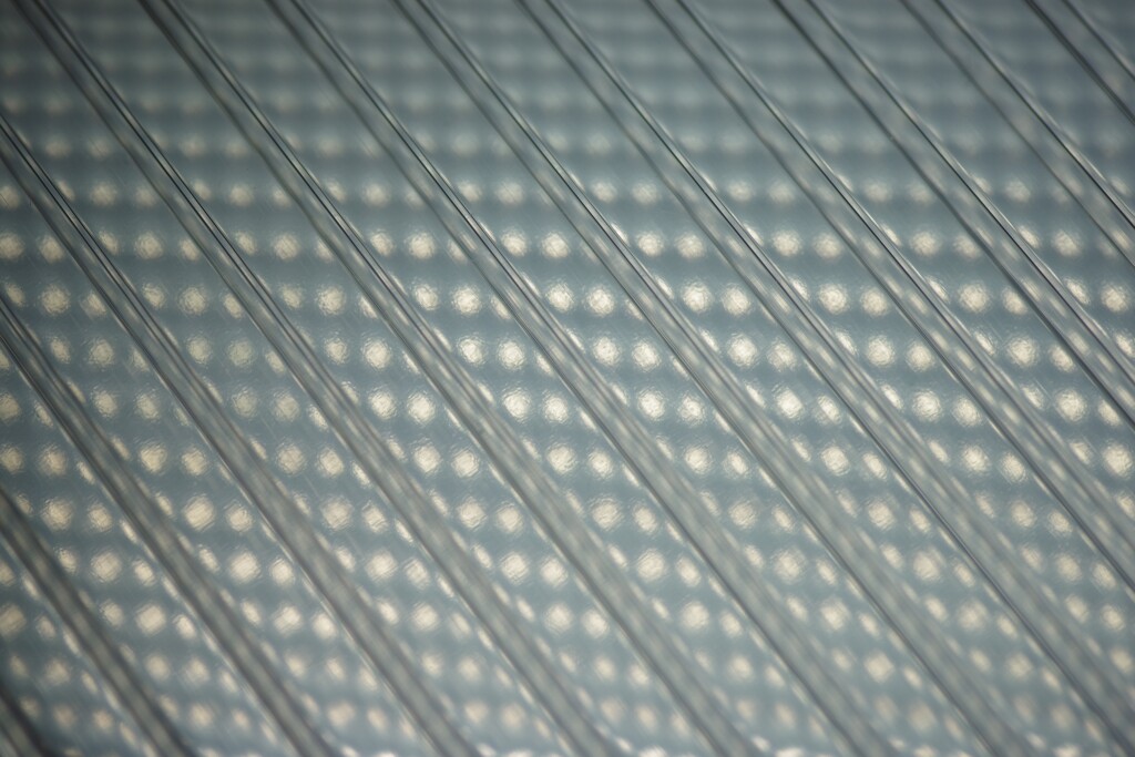 プラダンのせかい-8