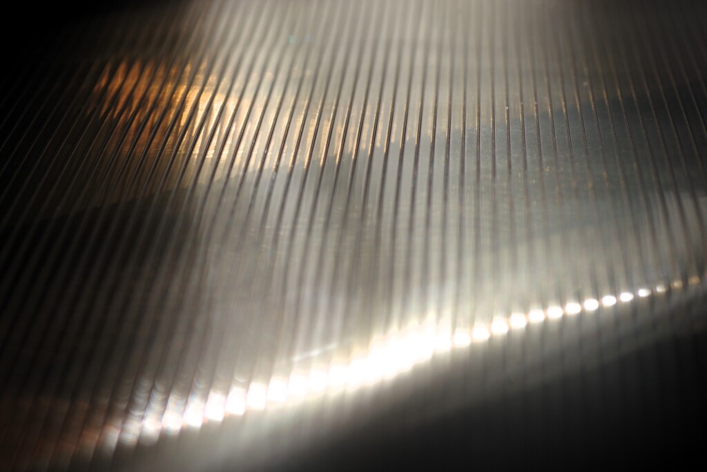 Light and shadow-761