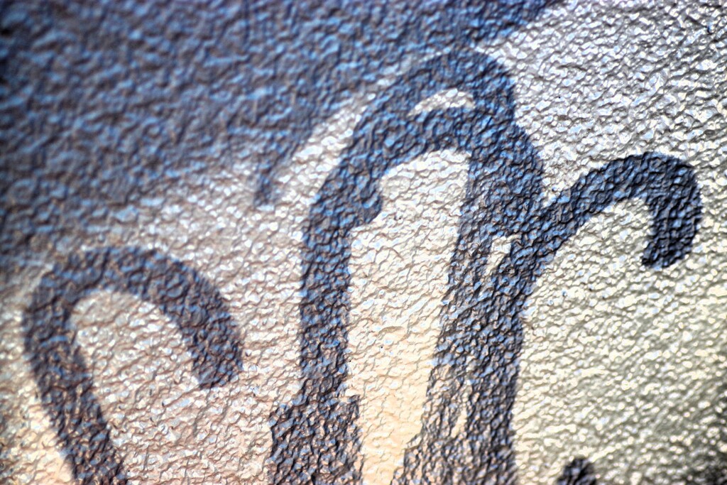 Light and shadow-937