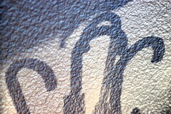 Light and shadow-937