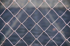 wire-mesh fence