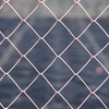 wire-mesh fence