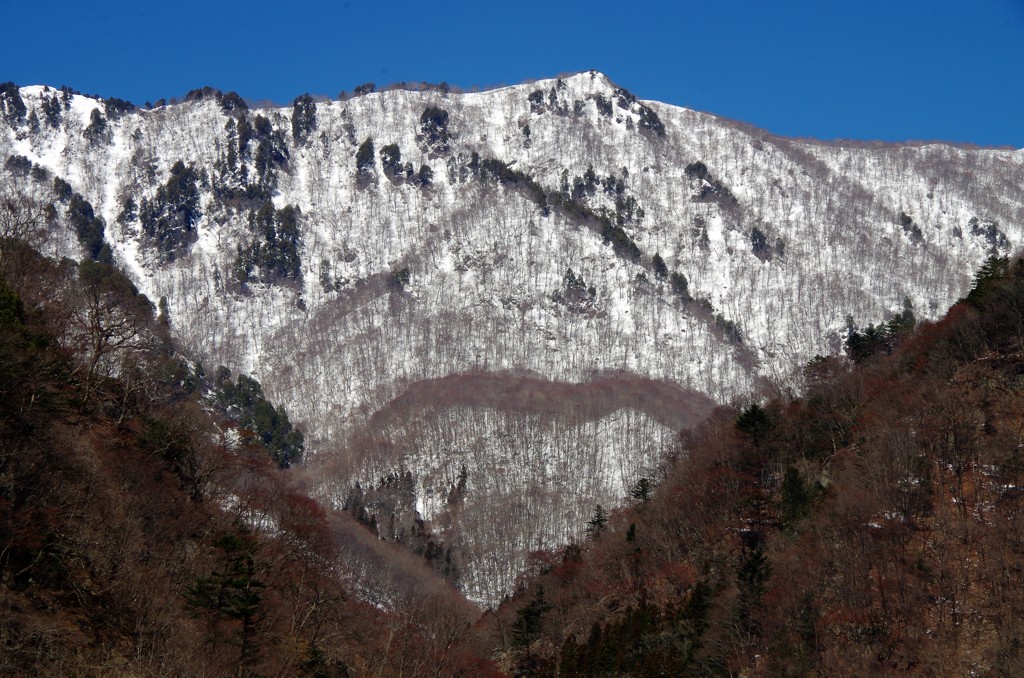 春の山肌-1