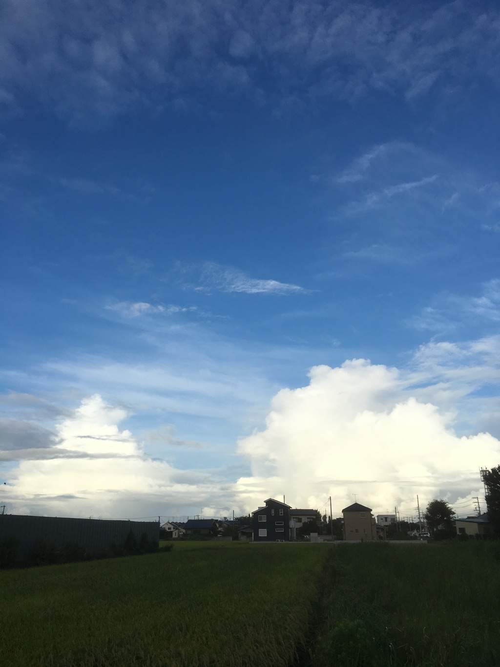 夏 17時の空