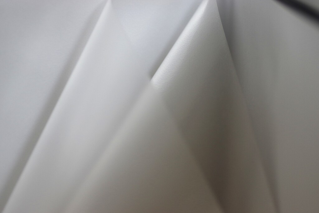 Light and shadow-892