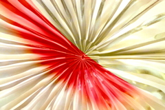 radial-1