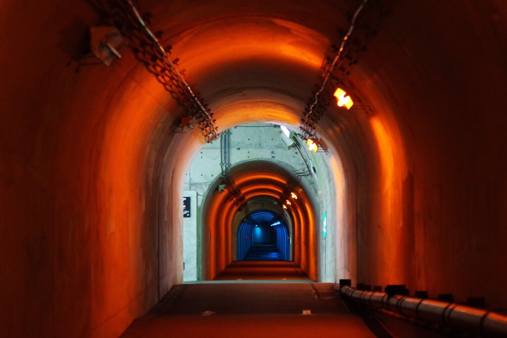 orange tunnel-1