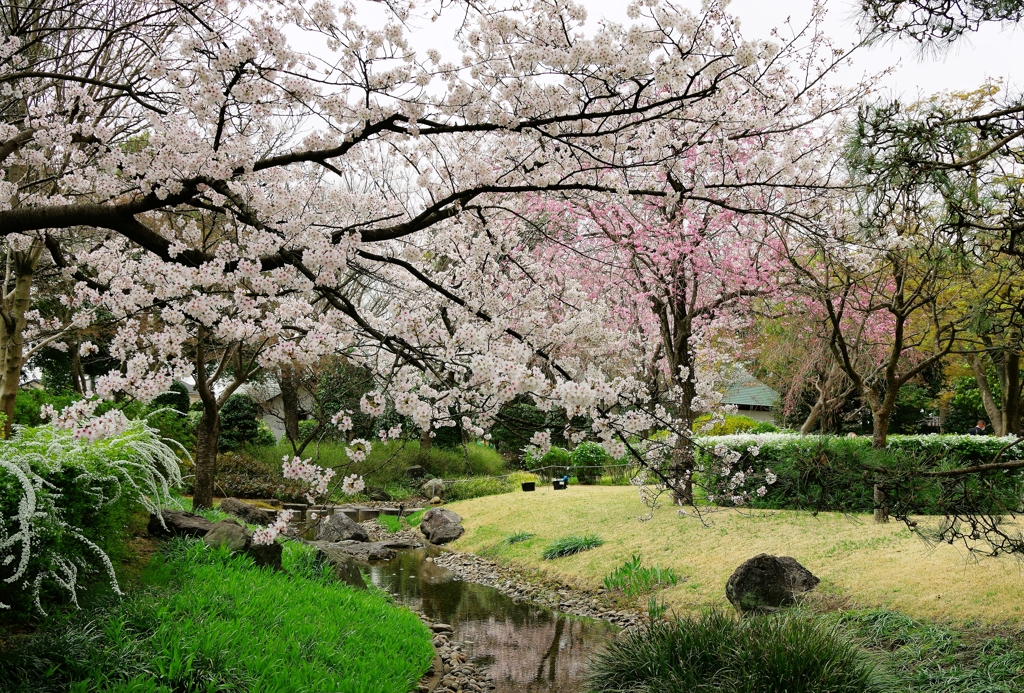 2022...庭園の春