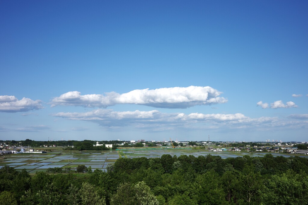 クジラのような雲